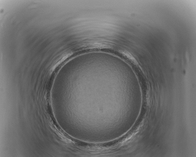 X0000061760873200512091658