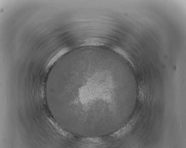 X0000061760874200512091658