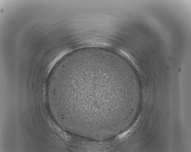 X0000061760875200512091658