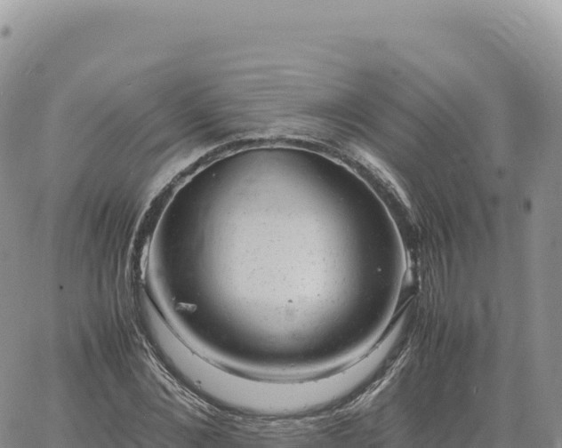 X0000061760876200512091658