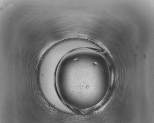 X0000061760877200512091658