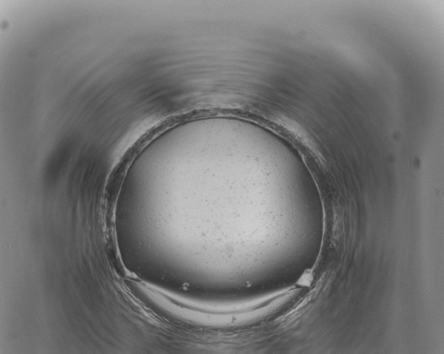 X0000061760878200512091658