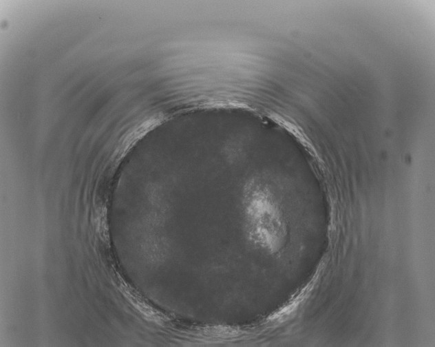 X0000061760881200512091658