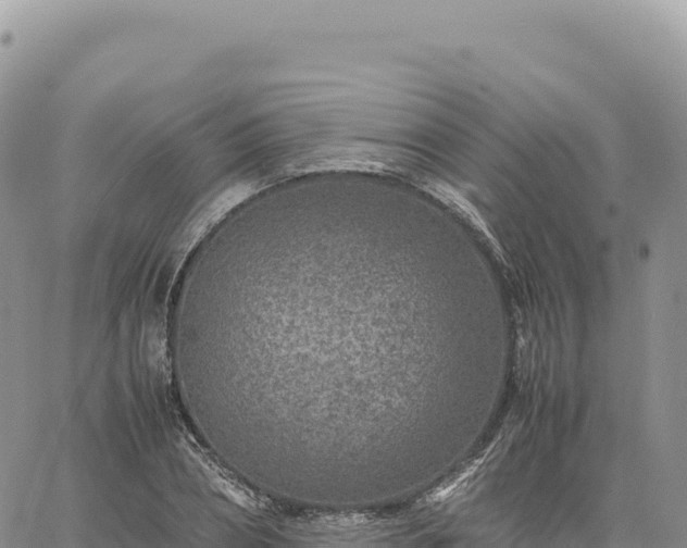 X0000061760882200512091658