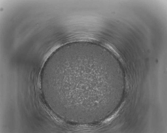 X0000061760883200512091658