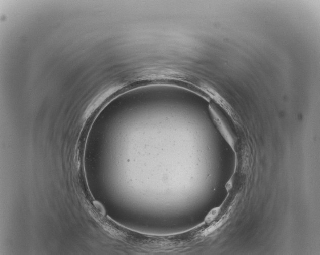 X0000061760885200512091658