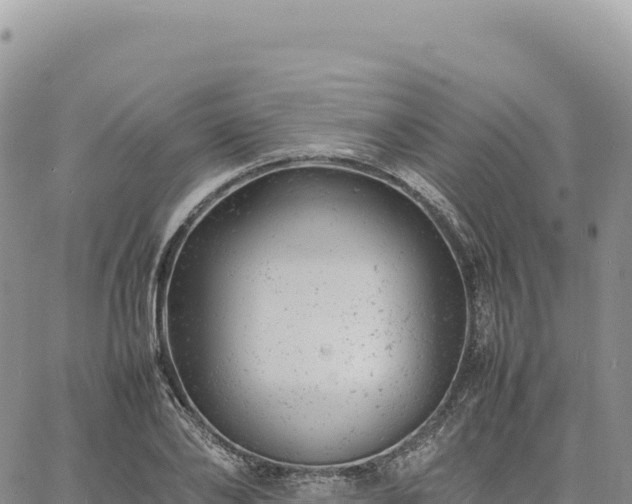 X0000061760886200512091658