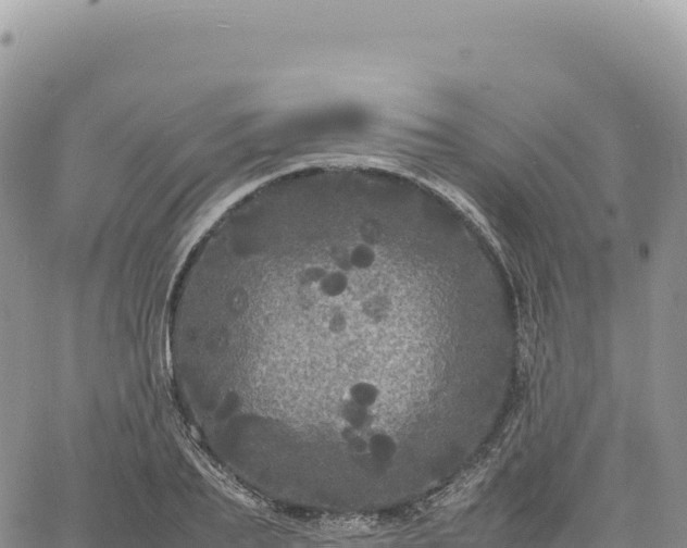 X0000061760887200512091658