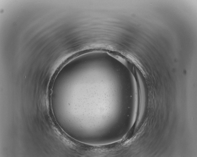 X0000061760888200512091658