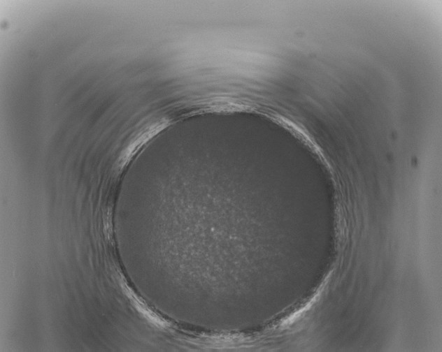 X0000061760889200512091658