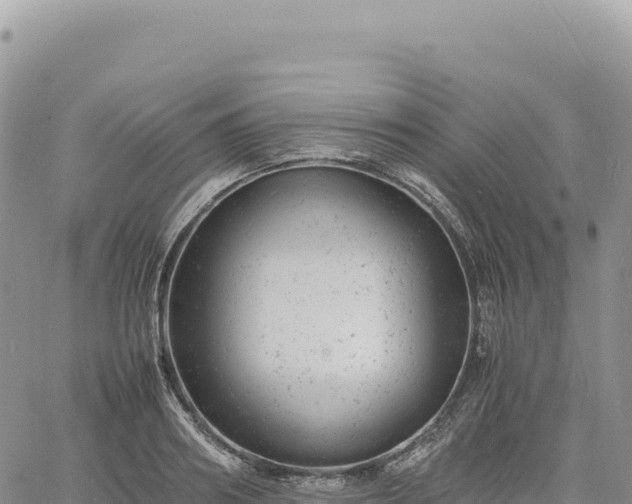 X0000061760890200512091658