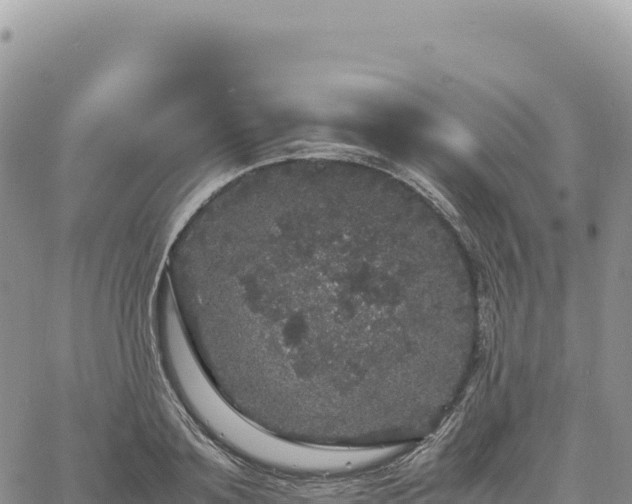 X0000061760891200512091658