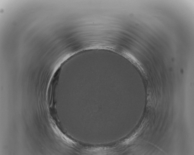 X0000061760892200512091658