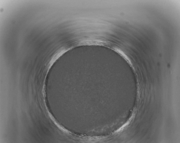 X0000061760893200512091658