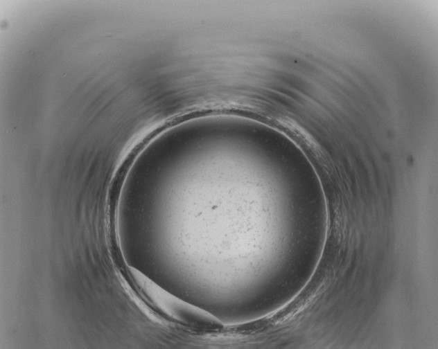 X0000061760894200512091658