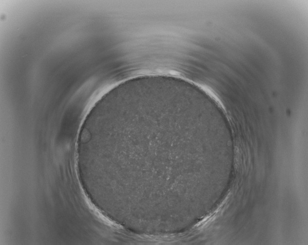 X0000061760895200512091658