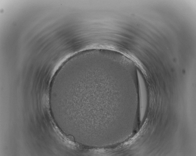 X0000061760896200512091658