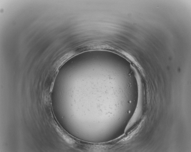 X0000061760897200512091658