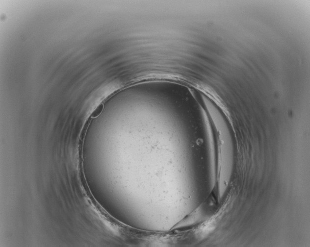 X0000061760898200512091658