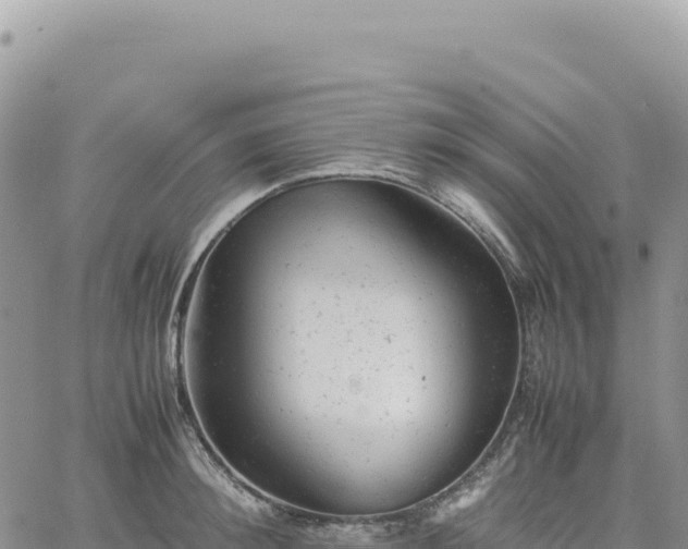 X0000061760900200512091658