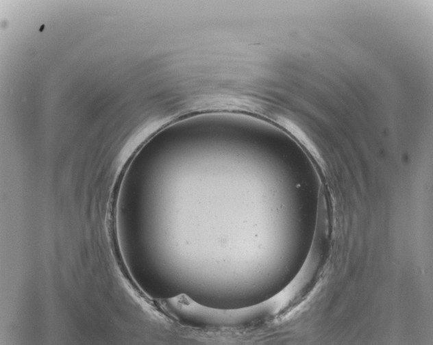 X0000061760901200512091658