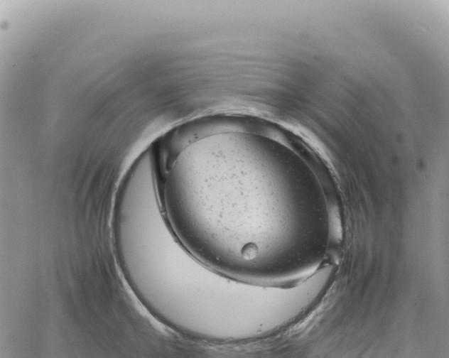 X0000061760902200512091658