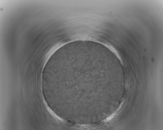 X0000061760903200512091658