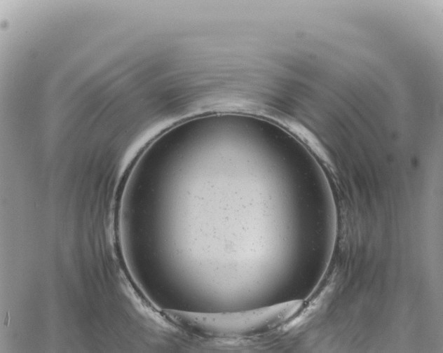 X0000061760904200512091658