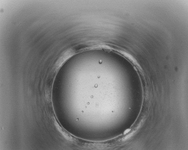 X0000061760905200512091658