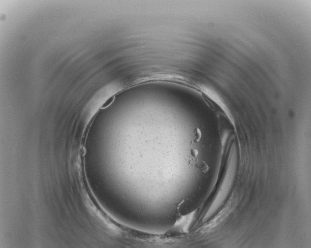 X0000061760906200512091658