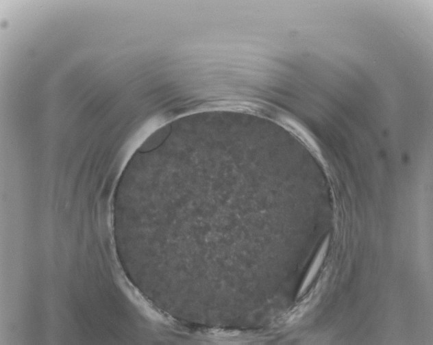 X0000061760907200512091658