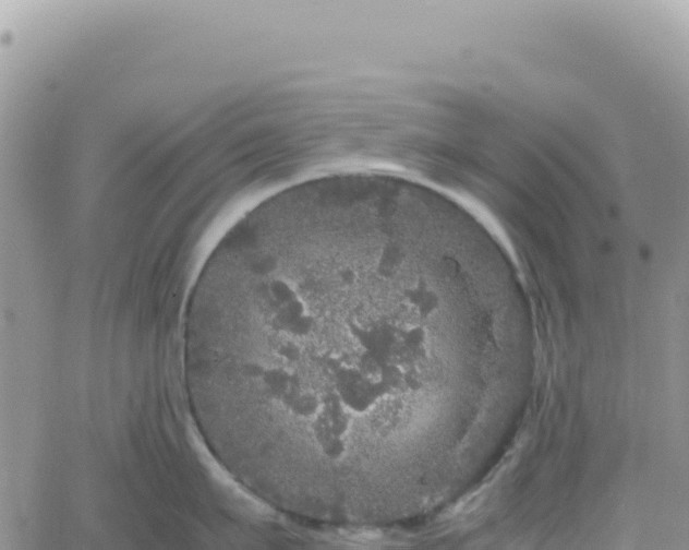 X0000061760911200512091658