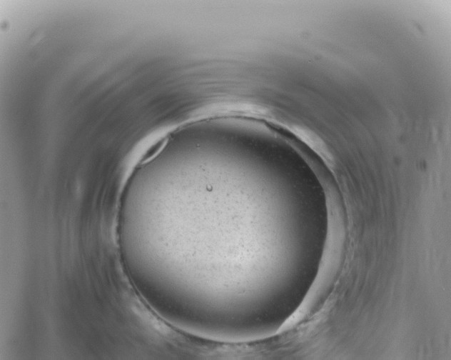 X0000061760912200512091658