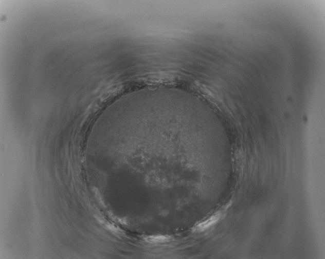 X0000061760913200512091657