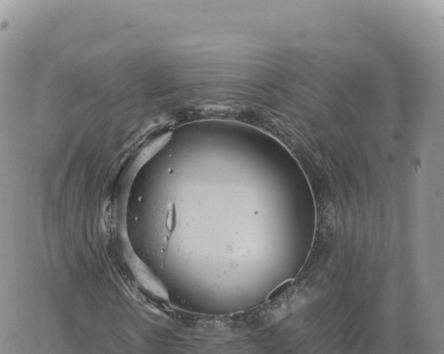 X0000061760914200512091657