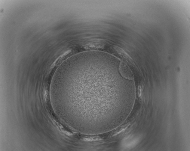 X0000061760915200512091657