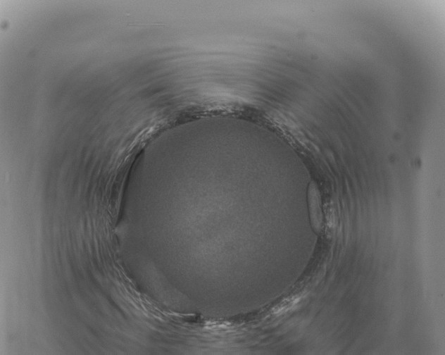 X0000061760916200512091657