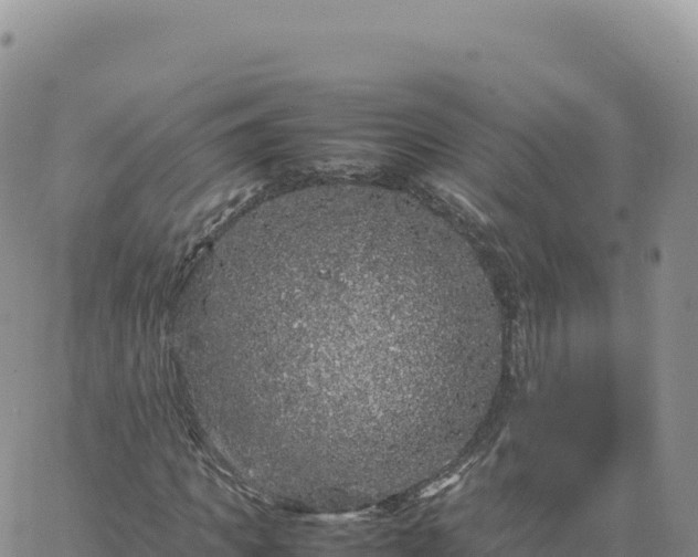 X0000061760917200512091657