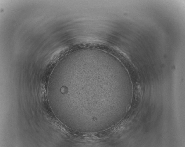 X0000061760918200512091657