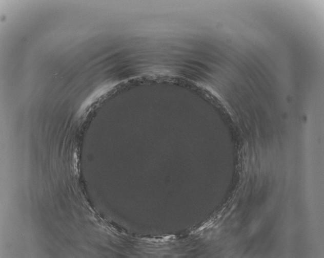 X0000061760919200512091657