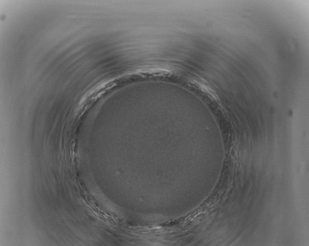 X0000061760920200512091657