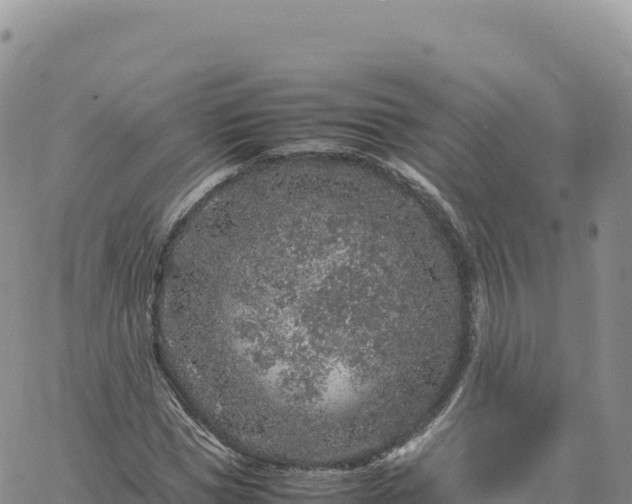 X0000061760921200512091657