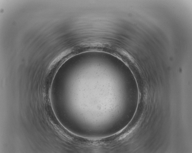 X0000061760922200512091657