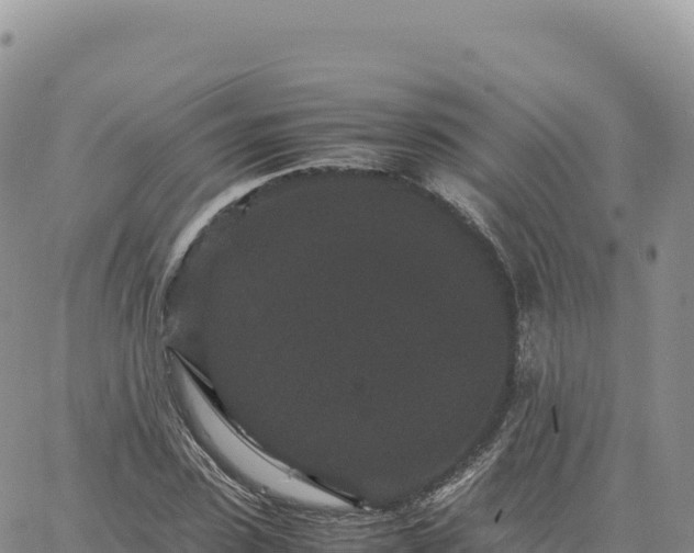 X0000061760923200512091657