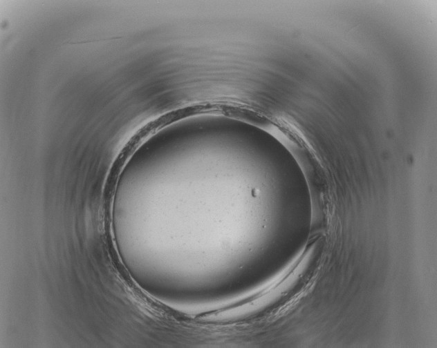 X0000061760924200512091657