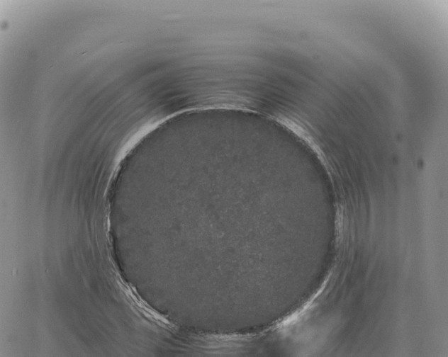 X0000061760925200512091657