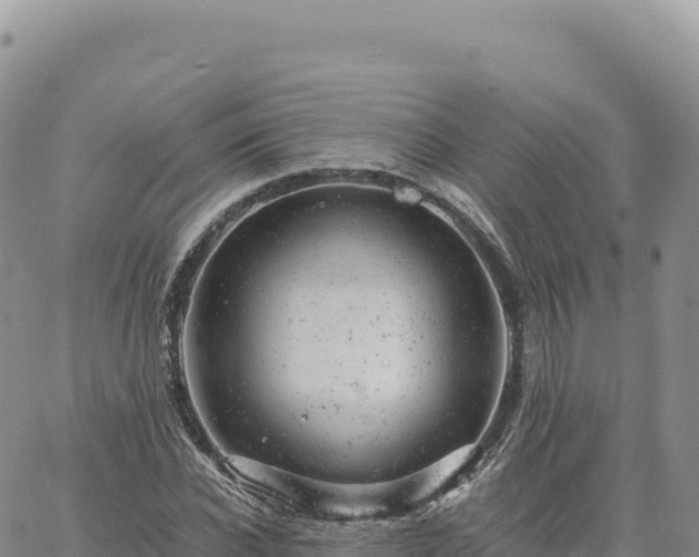 X0000061760926200512091657