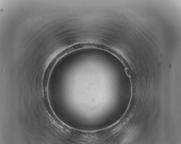 X0000061760927200512091657