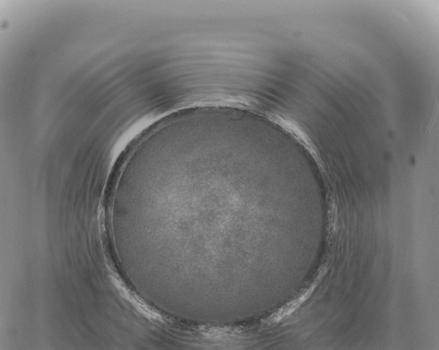 X0000061760928200512091657