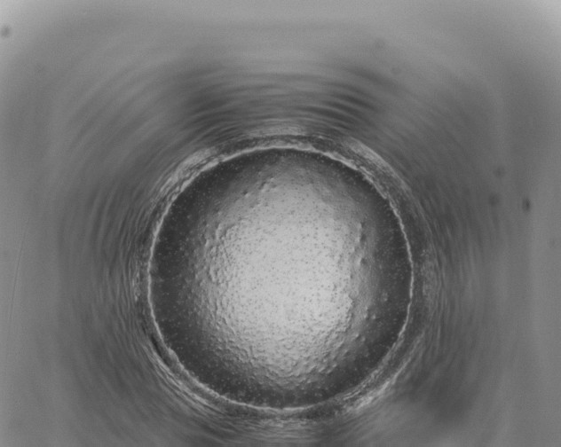 X0000061760929200512091657